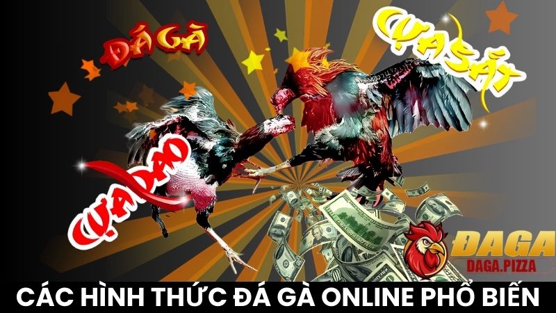 DAGA Eukem | ĐÁ GÀ Trực Tiếp Thomo C1 Hôm Nay Chất Lượng Cao Các hình thức đá gà