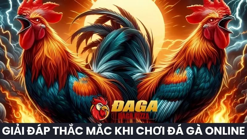 DAGA Eukem | ĐÁ GÀ Trực Tiếp Thomo C1 Hôm Nay Chất Lượng Cao Giải đáp về đá gà trực tuyến