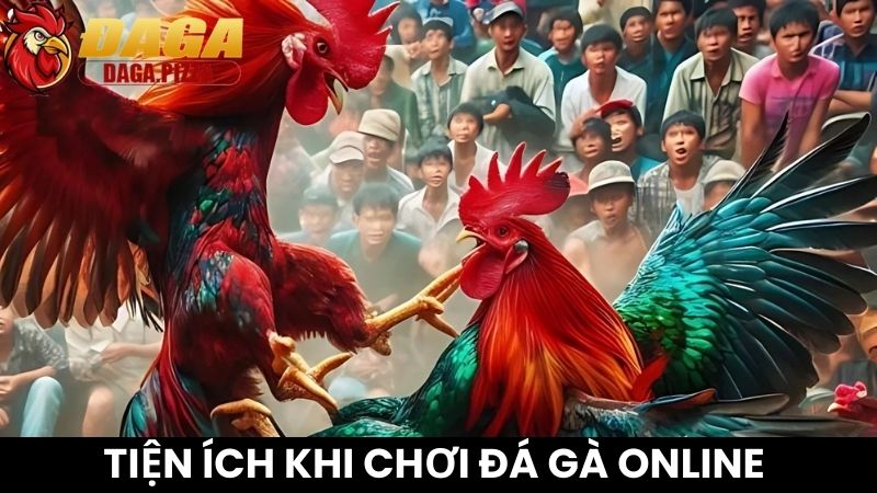 DAGA Eukem | ĐÁ GÀ Trực Tiếp Thomo C1 Hôm Nay Chất Lượng Cao chơi đá gà online với tiện ích