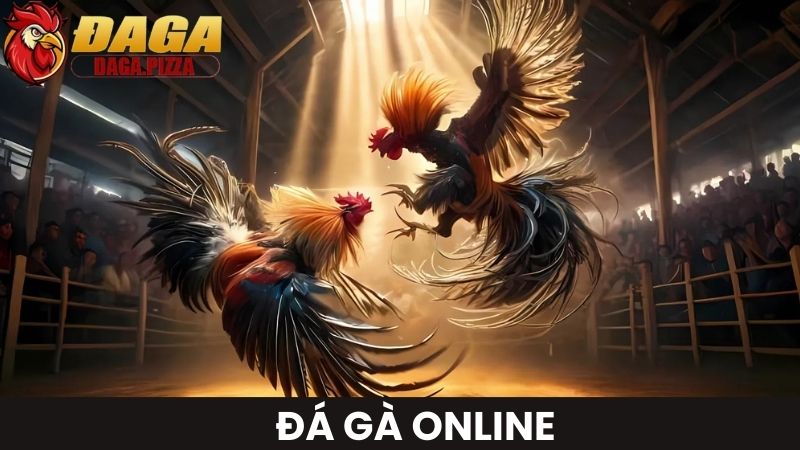 DAGA Eukem | ĐÁ GÀ Trực Tiếp Thomo C1 Hôm Nay Chất Lượng Cao đá gà